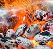 Стартер для розжига угля 800 Degrees XL