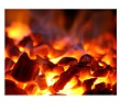 003383-barbecook-gel-dla-rozziga-ekologiceski-cistyj-1-l-1-1499